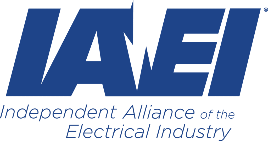 IAEI Logo